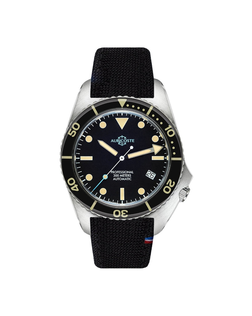 Auricoste MSM300