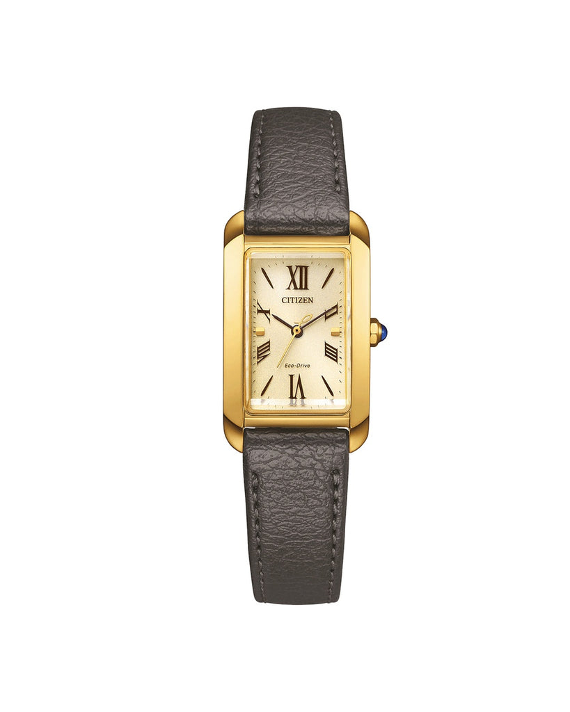 Citizen EW5622-09P